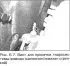 Clutch hydraulic system — bleeding