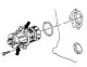 Removal and installation the coolant pump