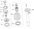 Disassembling the shock absorber strut / removing and installing the shock absorber / spring