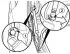 Removal and installation gas-filled bonnet/trunk lid strut