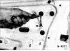 Removal and installation the lock cylinder
