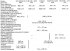 Technical data of the ignition system (DME)