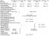 Technical data of the ignition system (DME)
