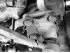 Inspection, removal, installation and replacement of suspension arm bushings and support arms