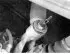 Removal and installation the rear shock absorber and coil spring assembly