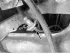 Removal and installation rear trailing arms