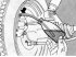 Bleeding the hydraulic brake system