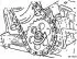 Removal and installation / checking the oil pump