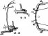 Specifications of the body and its elements